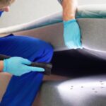 Percevejo De Colchão