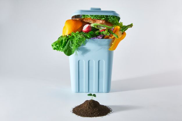 Lixeira com restos de alimentos orgânicos e muda plantada em terra